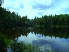 ALDI Foto Auftrag_0098_PICT0158_jpg_fff768b1_98.jpg