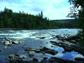 ALDI Foto Auftrag_0113_PICT0188_jpg_fff768b1_113.jpg