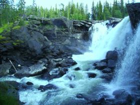 ALDI Foto Auftrag_0117_PICT0197_jpg_fff768b1_117.jpg