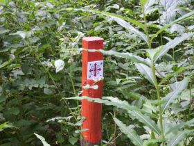 ALDI Foto Auftrag_0129_PICT0226_jpg_fff768b1_129.jpg